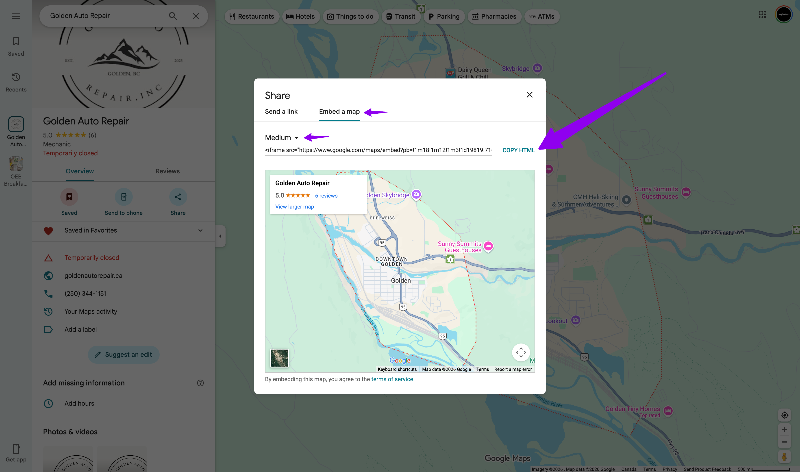 google map code copy